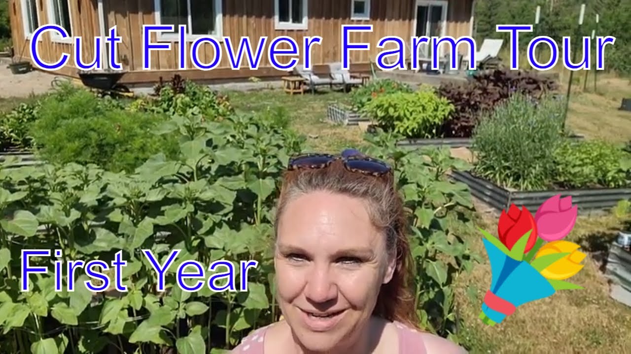 Cut Flower Farm Tour 1 First Year Flower Farm Garden Tour YouTube
