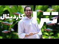 ماهی تترا کاردینال معرفی و شرایط نگهداری ماهی تترا کاردینال معرفی و شرایط نگهداری