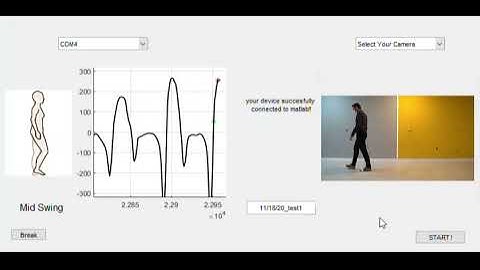 Real-time gait detection software using IMU signals and a camera