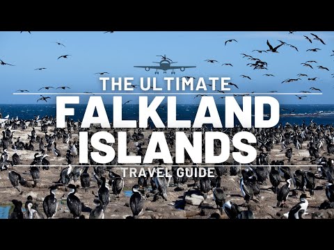 The Falkland Islands