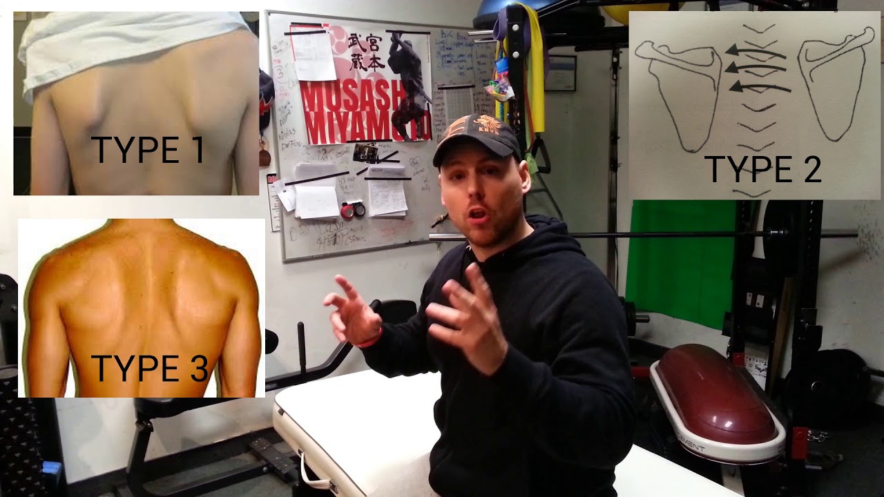 Shoulder Impingement Test ( EASY SELF-ASSESSMENT!) exercise 14.1 class 11