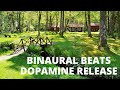 BINAURAL BEATS DOPAMINE RELEASE - Binaural Beats Music