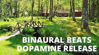 BINAURAL BEATS DOPAMINE RELEASE - Binaural Beats Music