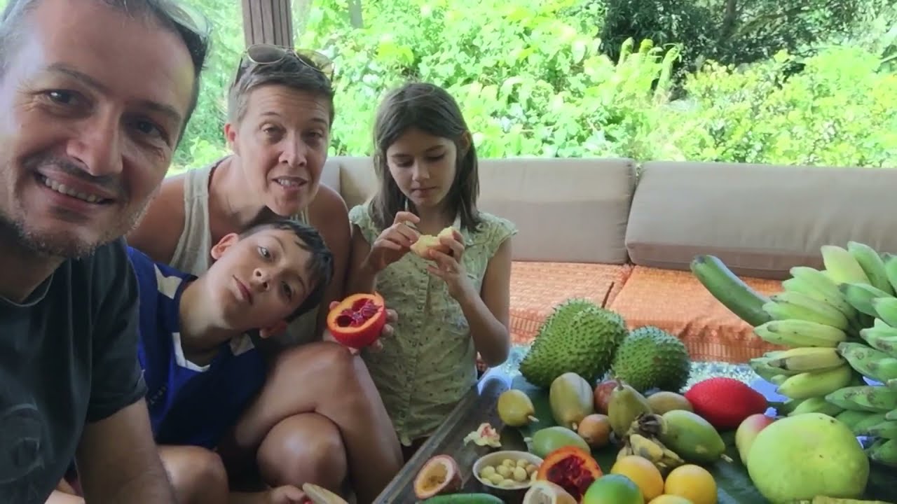 Les fruits du mois de novembre