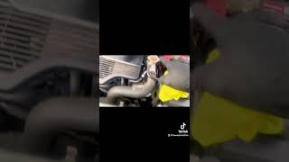 Where To Put The Antifreeze On A 2012 Nissan Juke! #best #car #tips Where To Put The Antifreeze On A 2012 Nissan Juke! #best #car #tips
