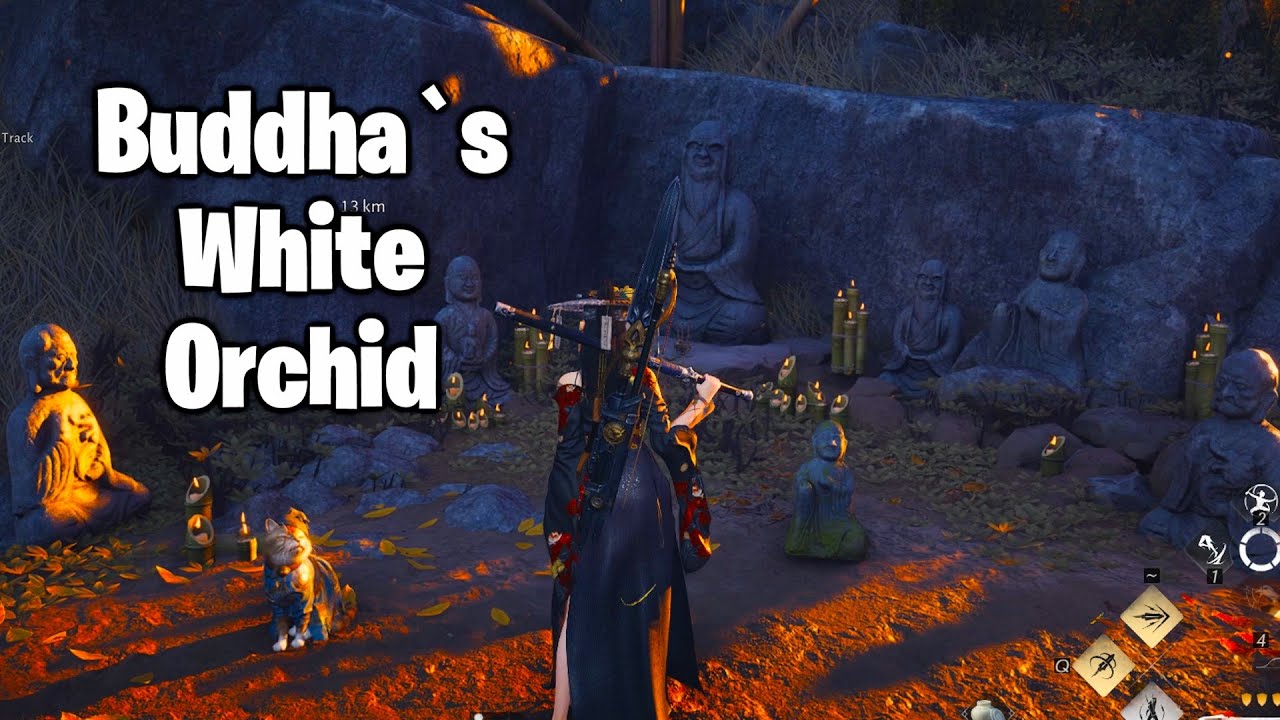 Где найти Белую орхидею Будды — Деревня тысячи Будд — Головоломка «Мяу-Мяу» — Место встречи ветров