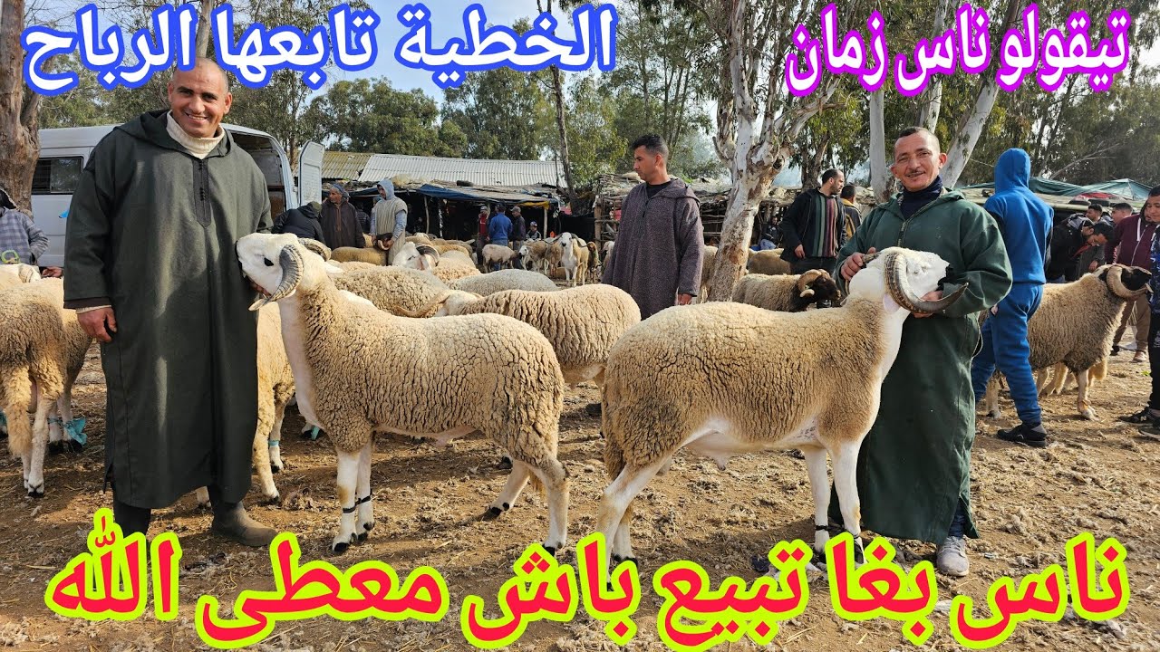 بعدة إلغاء العيد 📢📢شهادة الناس والكسابة في سوق الخميس سلا🇲🇦السهول 2025\02\27 مع الأثمنة عاش الملك 👑