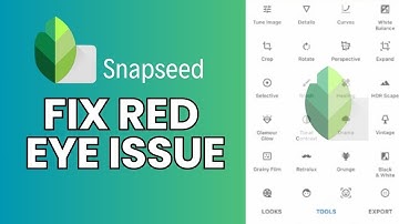 How to Fix Red Eye in SnapSeed App 2024?