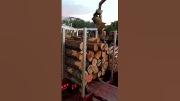 Log yard unloading