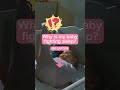Why is my babyfighting sleep🤯 WHY⁉️👇 #babysleep #babysleeptips #babysleepconsultant