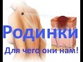 Родинки - Для чего они нам и каковы их функции