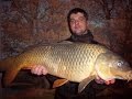 Подводная охота на сазана spearfishing carp