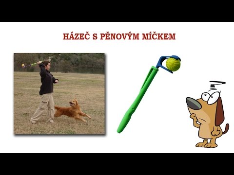 Video: Demystifikace štítku S Krmivem Pro Psy