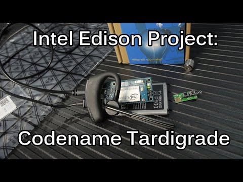 Intel