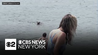 Caught on video: Man dives into Hudson River to save dog