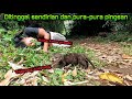 Bikin Terharu! Ngeprank Oki si Berang-berang Pintar ditinggal Sendiri di Hutan | Prank smart Otter