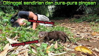 Makes You Touch! Prank Oki the Smart Otter Left Alone in the Forest