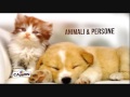 Animali e piante medicinali Animali e piante medicinali