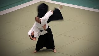 Aikikai Aikido - Isoyama Toshihiro Shihan - 54Th All Japan Aikido Demonstration 2016