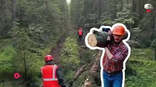 انضرو ما عثر عليه داخل هذه الشجره