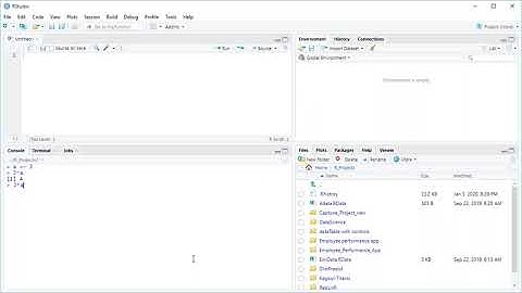 R Environment Variables: Managing Objects and Functions
