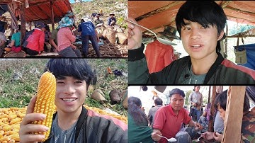 hnub no mus saib kv ntai pob kaws nawb sawv daw