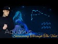 Aquarius  the biggest portal of our livesriding the waves of change 