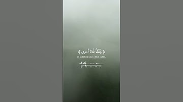 سبح اسم ربك الأعلى||صوت القارئ عبدالرحمن مسعد🔈