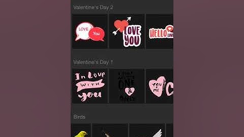 Create amazing double exposure effects using PhotoLeaf Photo Editor for iPhone