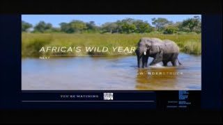 Jaws 3 1983 End Credits Bbc America 2022