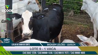 LOTE 9 - 1 VACA - BAGAGEM LEILÕES 10/05/24
