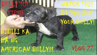 BEFORE YOU GET YOUR AMERICAN BULLY DOG WATCH THIS VIDEO FIRST!!! | DON RAIDER VLOG 27