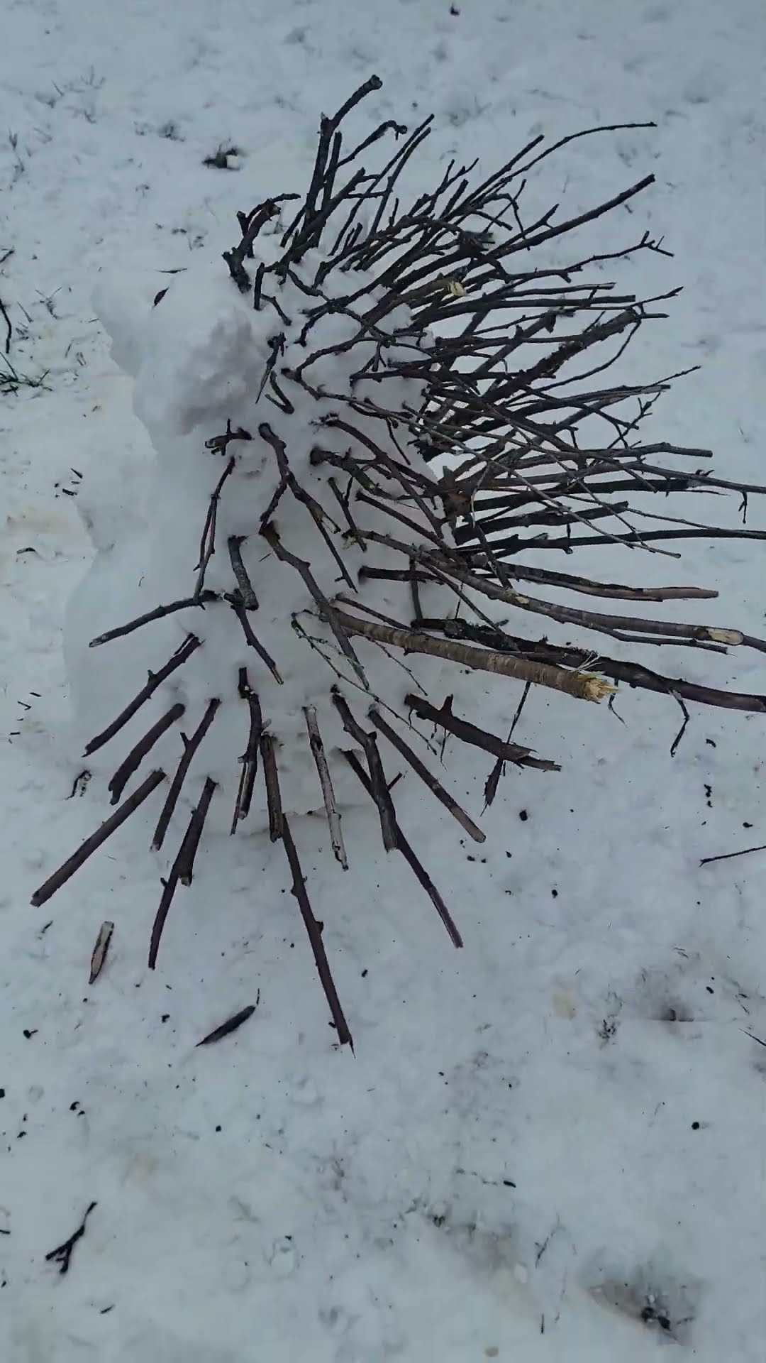 The Snowgehog! || ViralHog