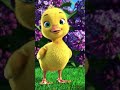 #dinkachika#dinka#duckbro #cutebaby#dancevideo#happybirthday#happylokipuni#viralvideo#djsong#babyjan
