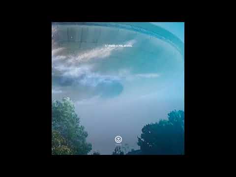 Phil Moffa — Dj Spider & Phil Moffa -  First Contact [OUT023]