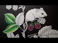 Live Colouring : Blackberries in Nightfall by Maria Trolle