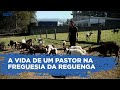 A vida de um pastor na freguesia da reguenga