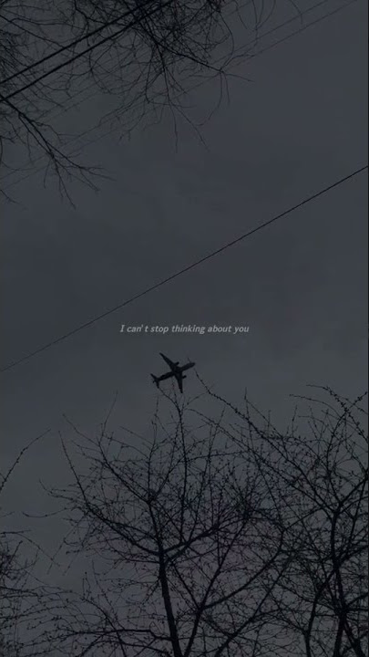 Tiktok Mashup ll COME BACK TO ME X NEW X CAN'T SMILE WITHOUT YOU ll story wa 30detik ll mashup