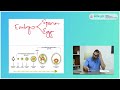 UNLOCKING HOPE: THE JOURNEY OF IVF