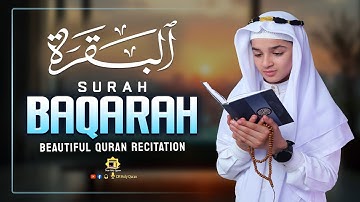 Surah Al Baqarah Full (سورة البقره) Abdullah Ahmed Shaaban | Most Heart Touching | Dear Holy Quran
