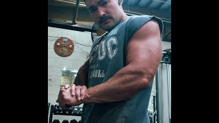 HULK SHRED SERIES DAY 12