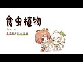 理芽 - 食虫植物💧詩雨蔻達 feat.茶浣熊@TanukiiDonCh |【吉他自彈自唱】