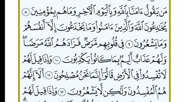 القرآن الكريم بصوت الشيخ علي الحذيفي .. الوجه ٢ .. صفحة ٣