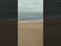 Sonido de Playa Sonido Viento | Sound Wind #shorts #naturesounds #naturevideo