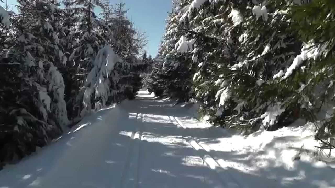 Bežky Šachtička smer Donovaly / cross country skiing Šachticka direction Donovaly