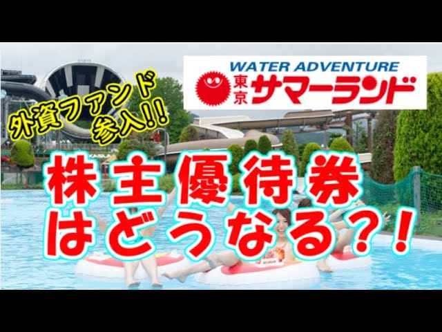 サマーランド 株主優待 夏 11枚 何気ない A 