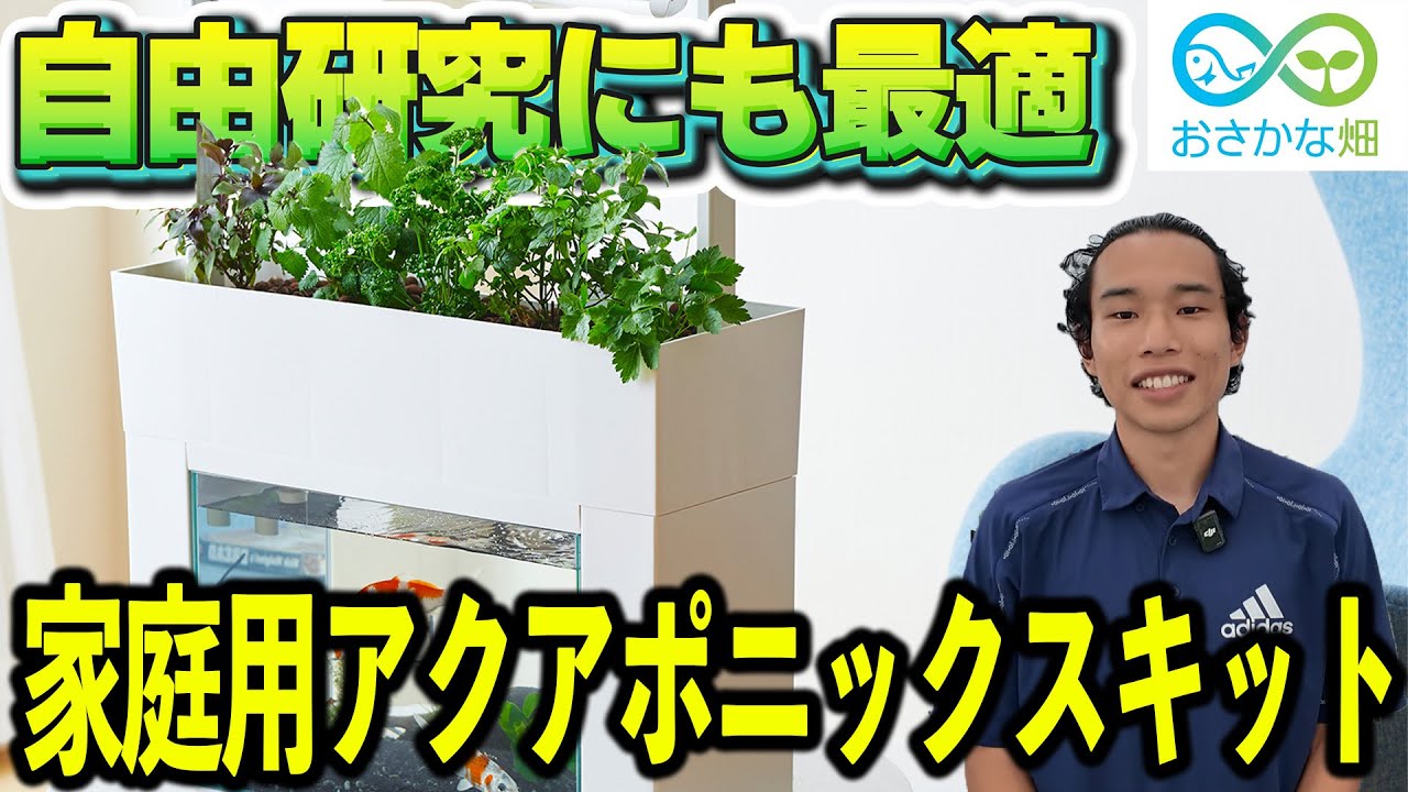 家庭で簡単に始める！アクアポニックススターターキットで安心・安全な家庭菜園を 子どもと一緒に楽しめる】家庭で始めるアクアポニックス株式会社アクポニ