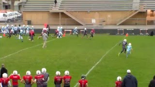 Tamarius