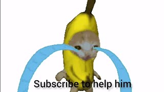 2 Hours bananacat crying