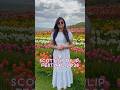 Indha song yaruku ellam pudikum? #scotland #uk #tulip
